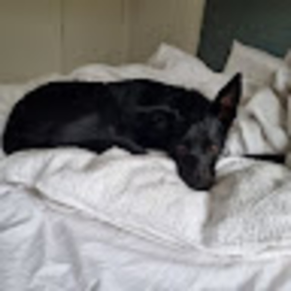 Meet your Posher, Kate - Picture 1 of 1